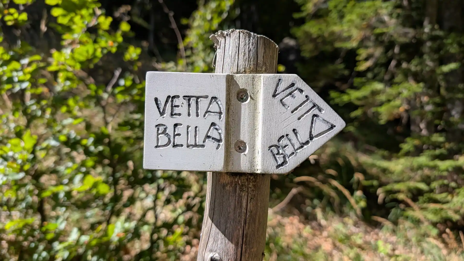 Main category picture