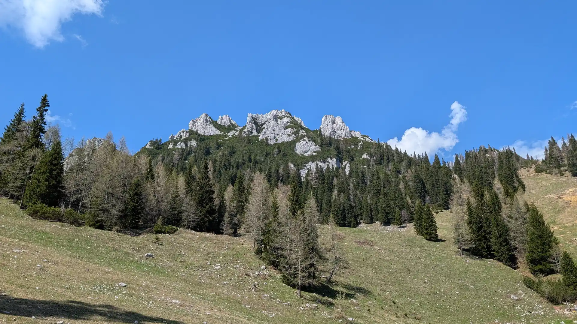 Main category picture